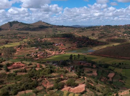 L’agriculture de conservation dans les systèmes de culture du riz à Madagascar : durabilité et adoption 