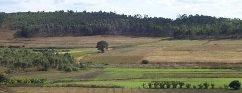 FORests and ECological intensification of Agricultural ABSYSs
