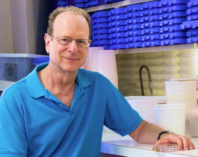 Bruce Tabashnik
