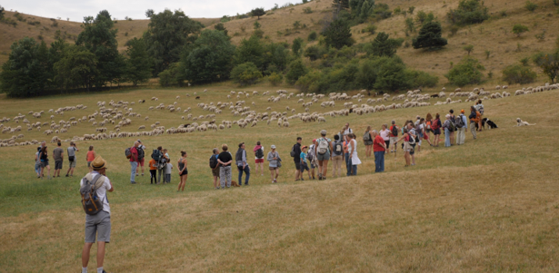 Participatory multidimensional assessment of grazing systems.