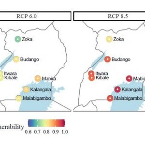 Figure 3 Vulnerabilities of C. canephora populations in Uganda to future (...)